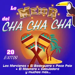 El Cha Cha Chá del Tránsito