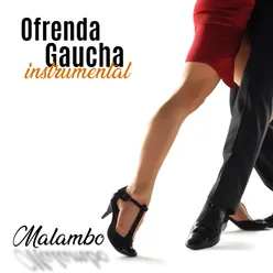 Ofrenda Gaucha: Malambo Instrumental