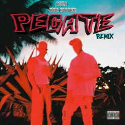 Pegate Remix