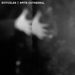 Evitceles / Spite Cathedral Split