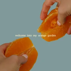Welcome into My Orange Garden