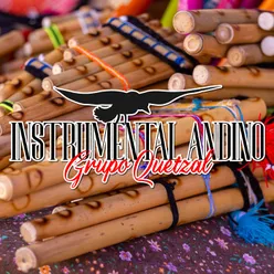 Pajaro Chogui Instrumental