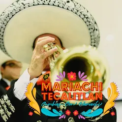 Mariachi Tecalitlan Cumbias Con Mariachi