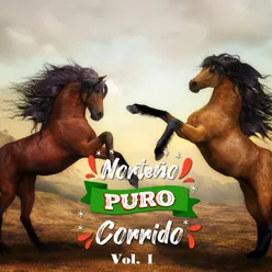 Norteño Puro Corrido Vol. 1