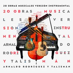 20 Obras Musicales Versiones Instrumentales