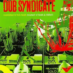 Dub Syndicate Overdubbed by Rob Smith AKA Rsd