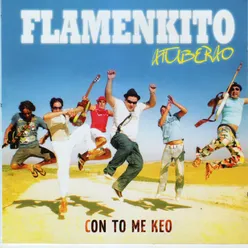 Mi Flamenco