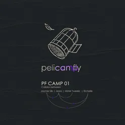 Pf Camp 01