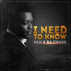 I Need to Know (feat. DJ Chase)