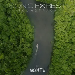 Sonic Forest (Déjame Respirar)