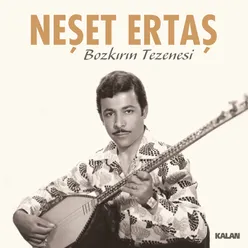 Niye Çattın Kaşlarını