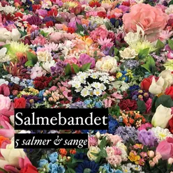 5 salmer & sange