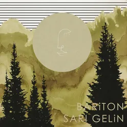 Sarı Gelin Cover