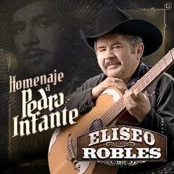 Homenaje a Pedro Infante