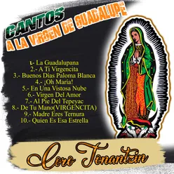 Cantos a la Virgen de Guadalupe