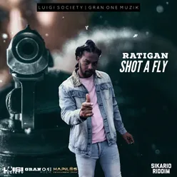 Shot a Fly