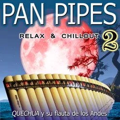 Pan Pipes 2: Relax & Chillout