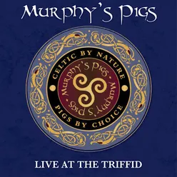 The Fields of Athenry Live