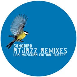 Songbird Atjazz Love Soul Remix Instrumental