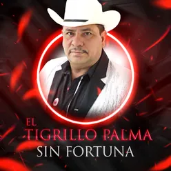Tigrillo Palma-Sin Fortuna