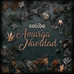 Amarga Navidad