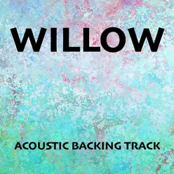 Willow Acoustic Backing Track