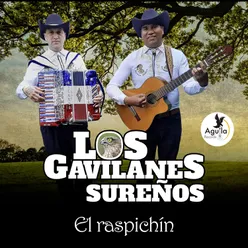 El Raspachín