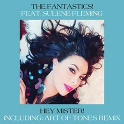 Hey Mister! Art of Tones Remix