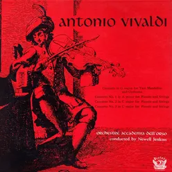 Concerto For Piccolo And Strings In C, No. 1 Giordano Vol. 8 No. 26; Pincherle No. 79; Rinaldi Op. 44, No. 11: I. Allegro Non Molto