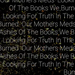 Looking For Truth In The Ashes Of The Books We Burned
