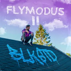 Flymodus II
