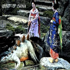 Sounds of China