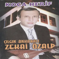 Çılgın Ankaralı / Koca Herif