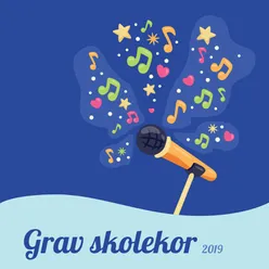 Grav skolekor 2019