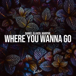 Where You Wanna Go