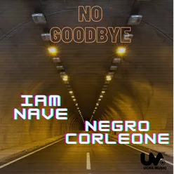 No Goodbye