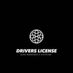 Drivers License