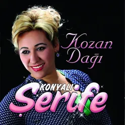 Kozan Dağı