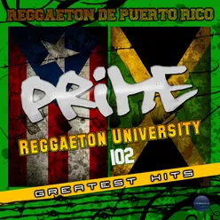 Reggaeton University 102