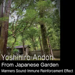 From Japanese Garden - Manners Sound・immune Reinforcement Effect-