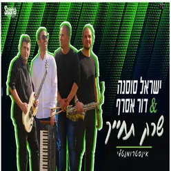 שרק תחייך - אינסטרומנטלי