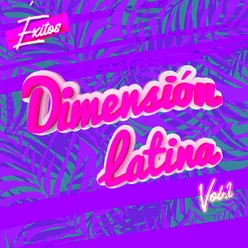 Éxitos Dimensión Latina, Vol. 2 Versión 2010