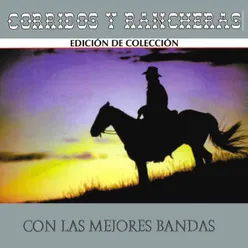 Corridos y Rancheras Con las Mejores Bandas