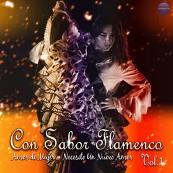 Puro Sabor Flamenco Vol. 1