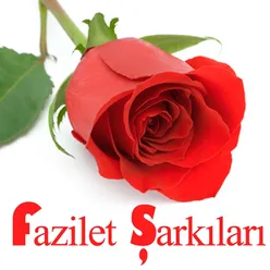 Fazilet Andı