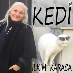 Kedi