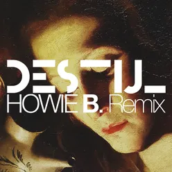 F.O.S. (Howie B Remix)