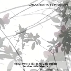 Haikus Musicales... Dones y Esperanzas. Séptima Serie: Vientos