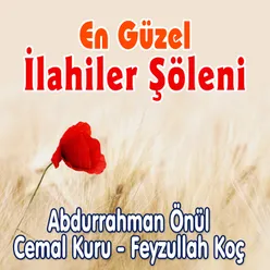 Güneş Yüzlüm