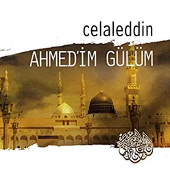 Ahmedim Gülüm